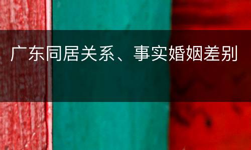 广东同居关系、事实婚姻差别