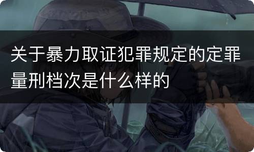关于暴力取证犯罪规定的定罪量刑档次是什么样的
