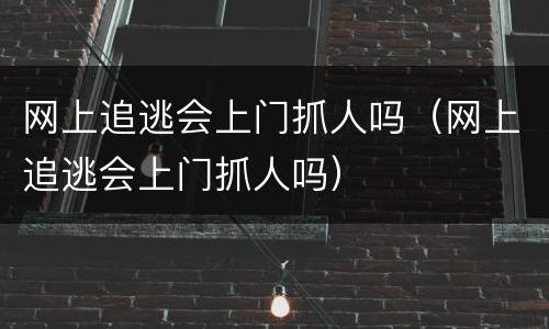 网上追逃会上门抓人吗（网上追逃会上门抓人吗）