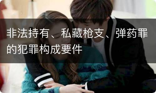 非法持有、私藏枪支、弹药罪的犯罪构成要件