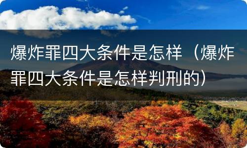 爆炸罪四大条件是怎样（爆炸罪四大条件是怎样判刑的）