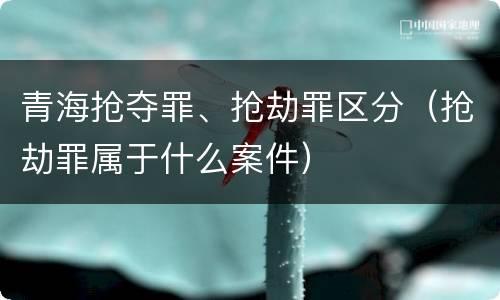 青海抢夺罪、抢劫罪区分（抢劫罪属于什么案件）