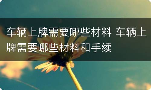车辆上牌需要哪些材料 车辆上牌需要哪些材料和手续