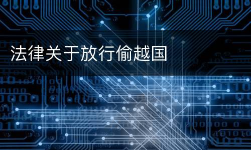 法律关于放行偷越国