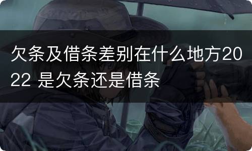 欠条及借条差别在什么地方2022 是欠条还是借条