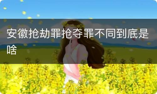 安徽抢劫罪抢夺罪不同到底是啥