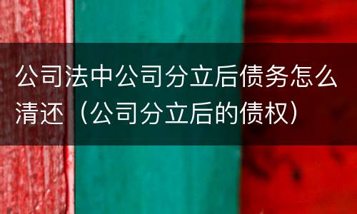 公司法中公司分立后债务怎么清还（公司分立后的债权）