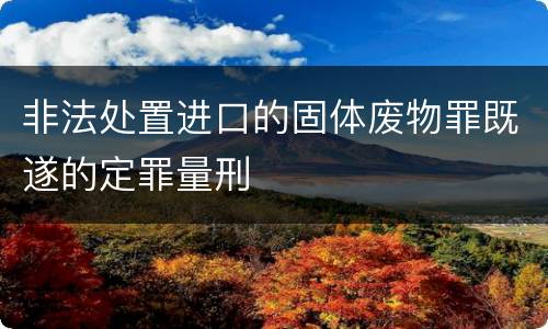 非法处置进口的固体废物罪既遂的定罪量刑