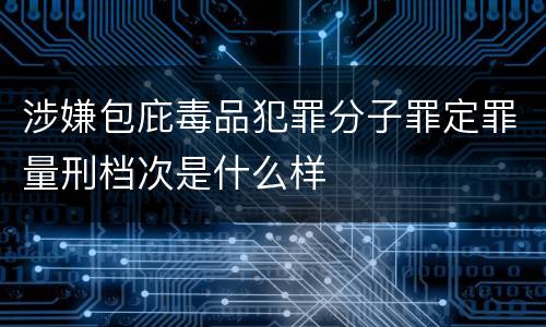涉嫌包庇毒品犯罪分子罪定罪量刑档次是什么样