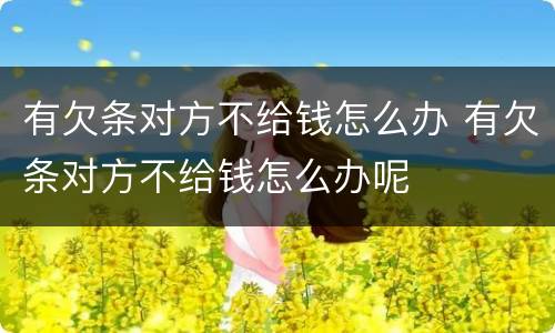 有欠条对方不给钱怎么办 有欠条对方不给钱怎么办呢
