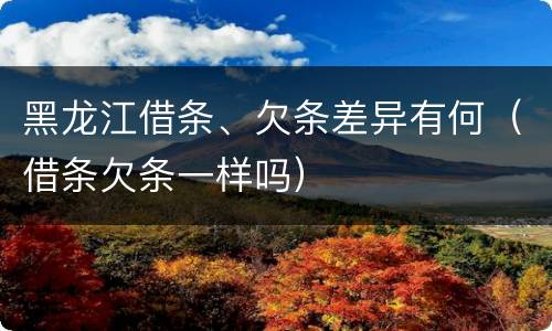 黑龙江借条、欠条差异有何（借条欠条一样吗）