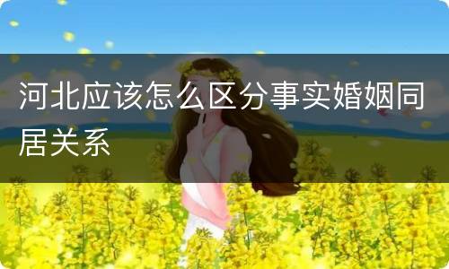 河北应该怎么区分事实婚姻同居关系