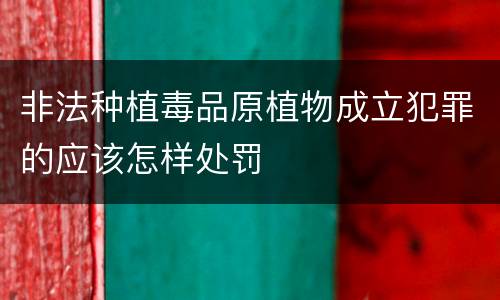 非法种植毒品原植物成立犯罪的应该怎样处罚