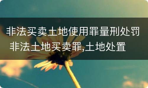非法买卖土地使用罪量刑处罚 非法土地买卖罪,土地处置