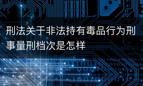 刑法关于非法持有毒品行为刑事量刑档次是怎样