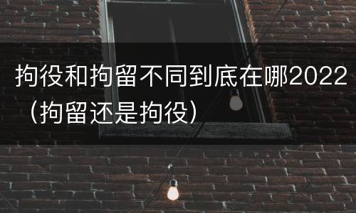 拘役和拘留不同到底在哪2022（拘留还是拘役）