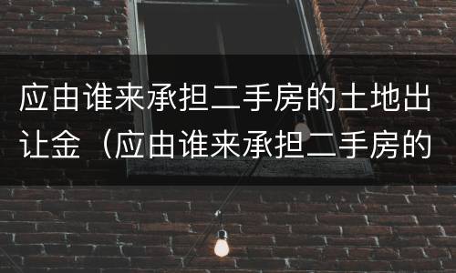应由谁来承担二手房的土地出让金（应由谁来承担二手房的土地出让金税率）
