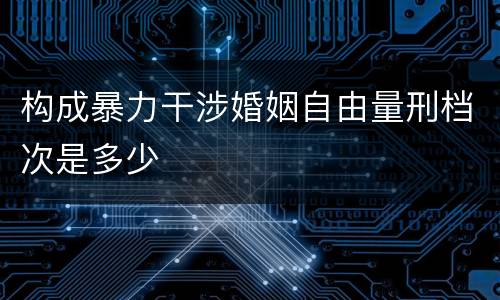 构成暴力干涉婚姻自由量刑档次是多少