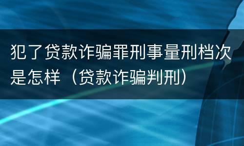 犯了贷款诈骗罪刑事量刑档次是怎样（贷款诈骗判刑）