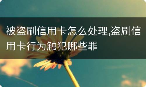 被盗刷信用卡怎么处理,盗刷信用卡行为触犯哪些罪