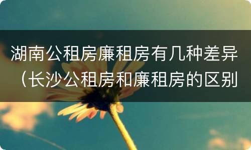 湖南公租房廉租房有几种差异（长沙公租房和廉租房的区别）