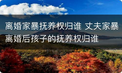 离婚家暴抚养权归谁 丈夫家暴离婚后孩子的抚养权归谁