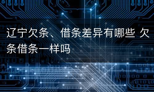 辽宁欠条、借条差异有哪些 欠条借条一样吗