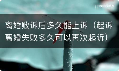 离婚败诉后多久能上诉（起诉离婚失败多久可以再次起诉）
