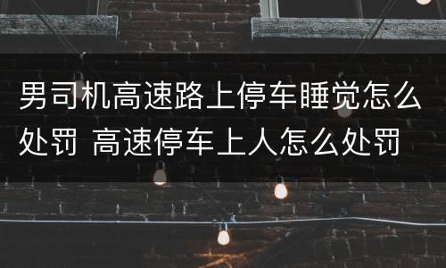 男司机高速路上停车睡觉怎么处罚 高速停车上人怎么处罚
