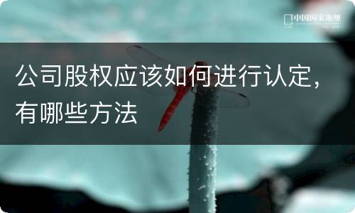 公司股权应该如何进行认定，有哪些方法