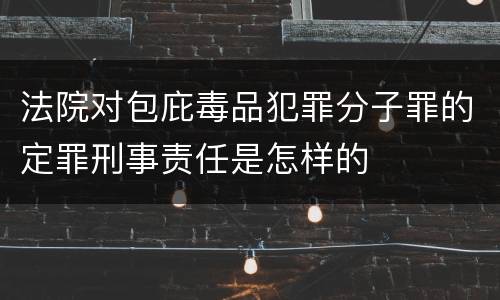 法院对包庇毒品犯罪分子罪的定罪刑事责任是怎样的