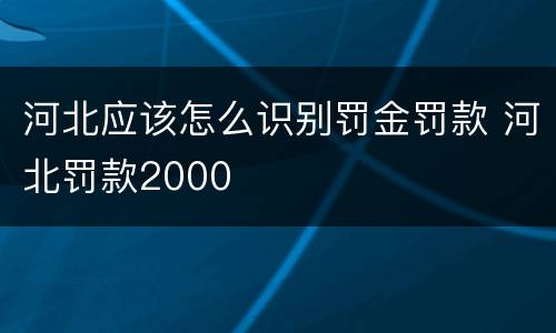 河北应该怎么识别罚金罚款 河北罚款2000