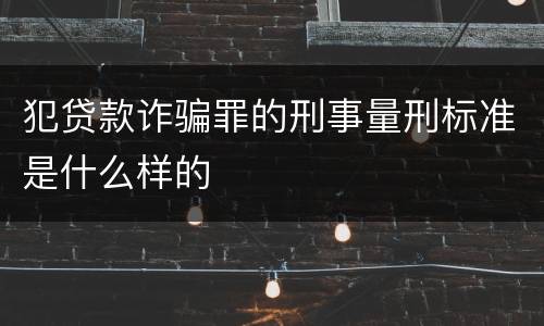 犯贷款诈骗罪的刑事量刑标准是什么样的