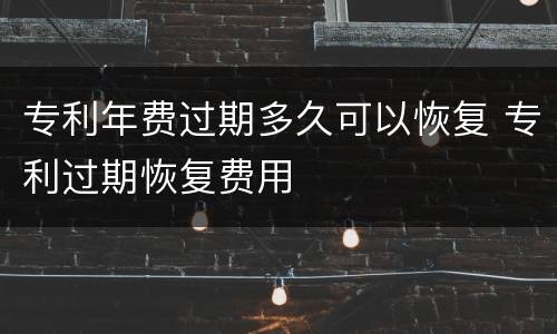 专利年费过期多久可以恢复 专利过期恢复费用