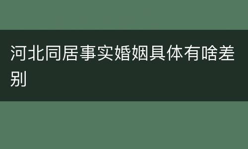 河北同居事实婚姻具体有啥差别