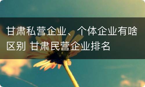 甘肃私营企业、个体企业有啥区别 甘肃民营企业排名