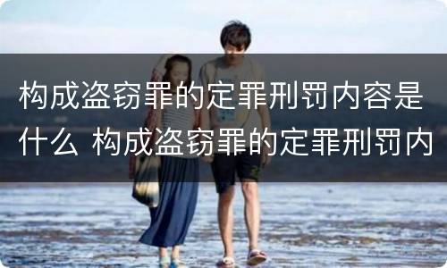 构成盗窃罪的定罪刑罚内容是什么 构成盗窃罪的定罪刑罚内容是什么意思