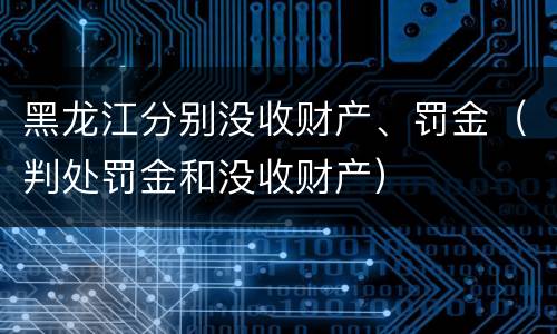 黑龙江分别没收财产、罚金（判处罚金和没收财产）