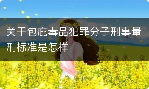 关于包庇毒品犯罪分子刑事量刑标准是怎样