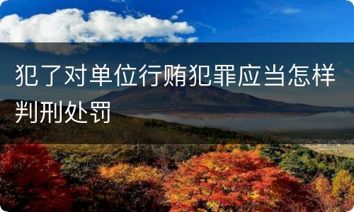 犯了对单位行贿犯罪应当怎样判刑处罚