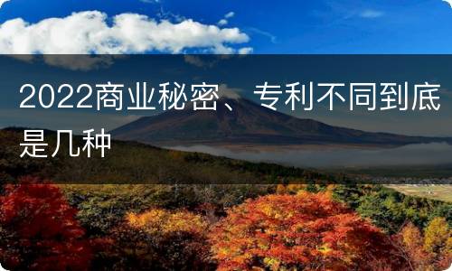 2022商业秘密、专利不同到底是几种