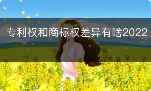 专利权和商标权差异有啥2022