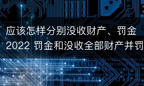应该怎样分别没收财产、罚金2022 罚金和没收全部财产并罚
