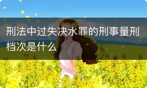刑法中过失决水罪的刑事量刑档次是什么