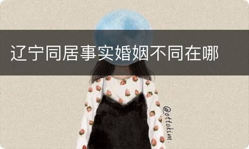 辽宁同居事实婚姻不同在哪