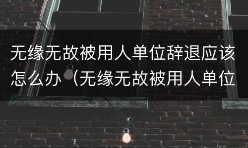 无缘无故被用人单位辞退应该怎么办（无缘无故被用人单位辞退应该怎么办理）