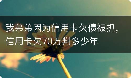 我弟弟因为信用卡欠债被抓，信用卡欠70万判多少年