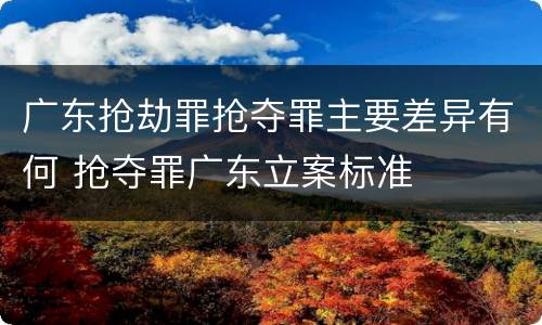 广东抢劫罪抢夺罪主要差异有何 抢夺罪广东立案标准