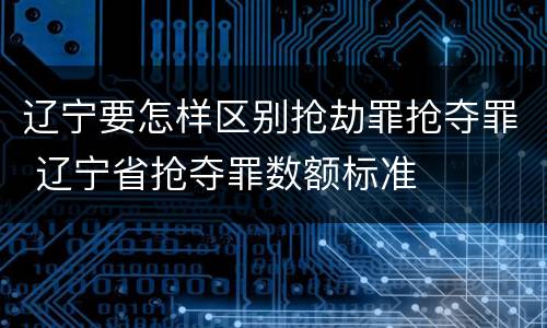 辽宁要怎样区别抢劫罪抢夺罪 辽宁省抢夺罪数额标准
