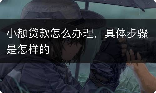 小额贷款怎么办理，具体步骤是怎样的